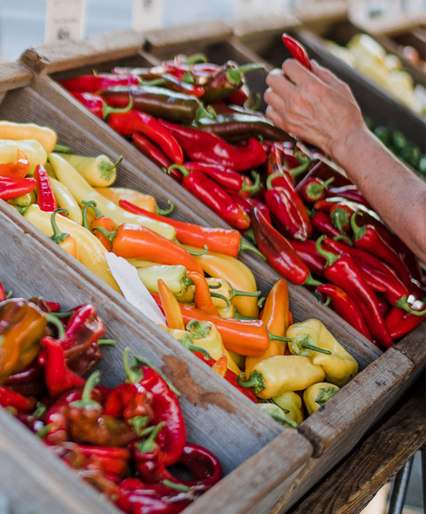 Selection of vegetables